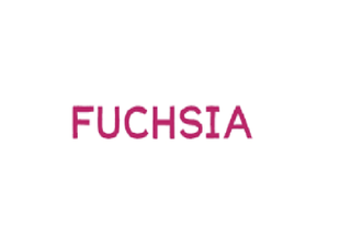 FUCHSIA -Skin Treatment Tools