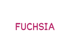 Fuchsia - Accessories, Roller & Styling Gel